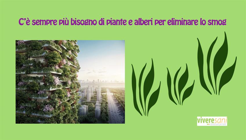 Alberi e piante mangia-smog Alberi e piante mangia-smog